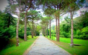 İstanbul'da Doğum Günü Kutlaması İçin Öneriler 2021 (Florya Atatürk Ormanı)